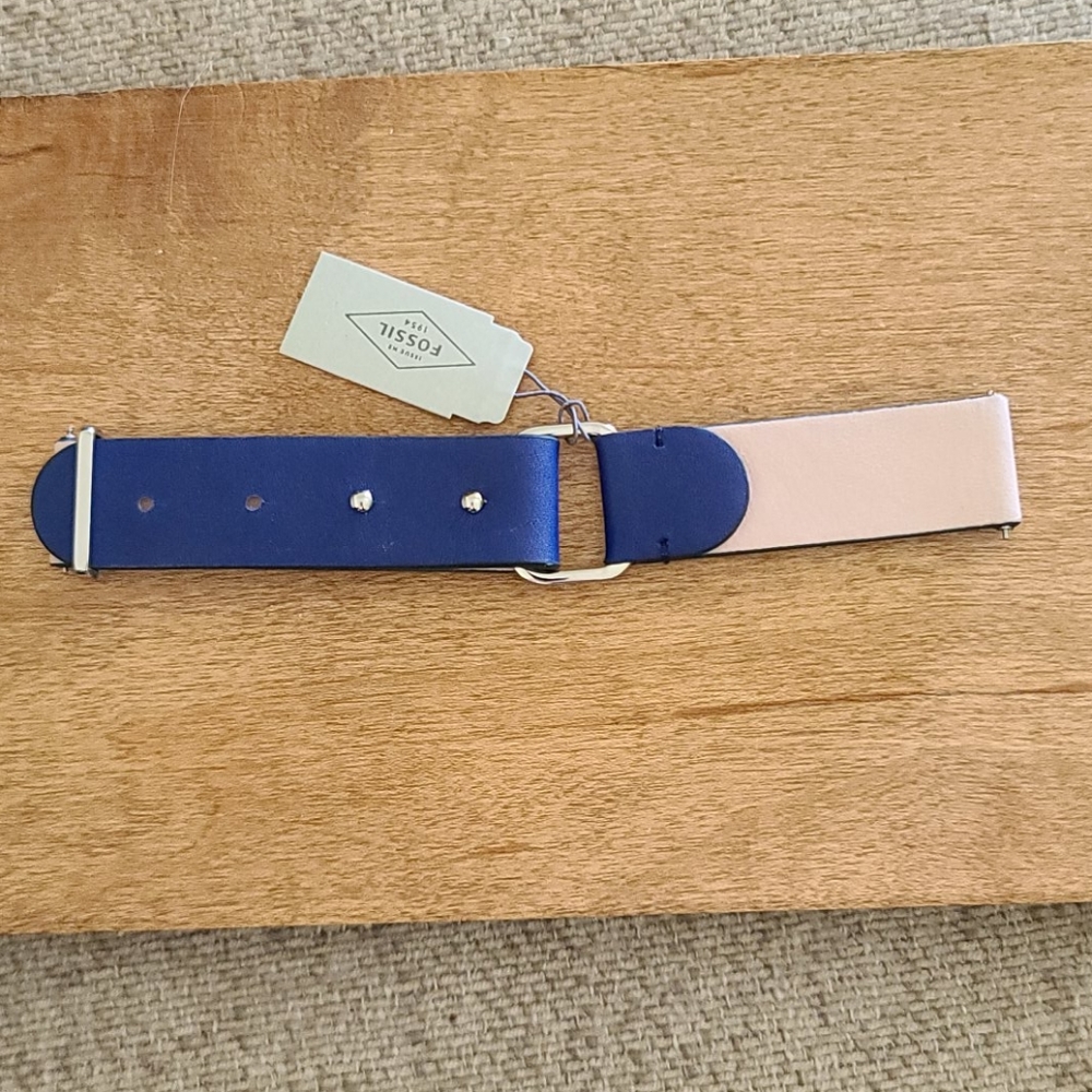 Fossil Interchangeable Watch Band